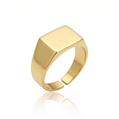 Anel Liso P Banhado a Ouro 18K